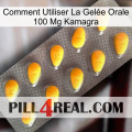 Comment Utiliser La Gelée Orale 100 Mg Kamagra cialis1